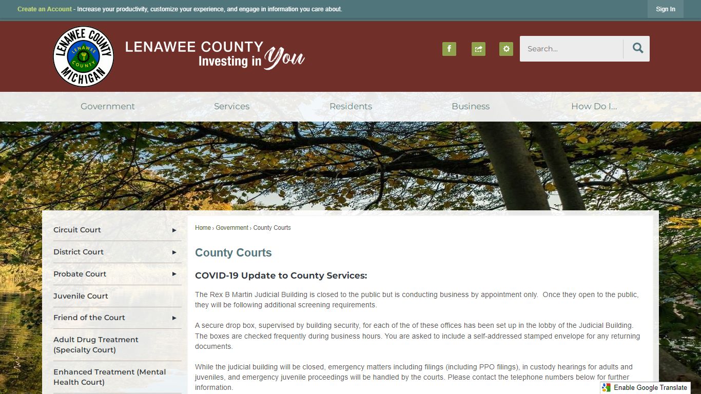 County Courts | Lenawee County, MI
